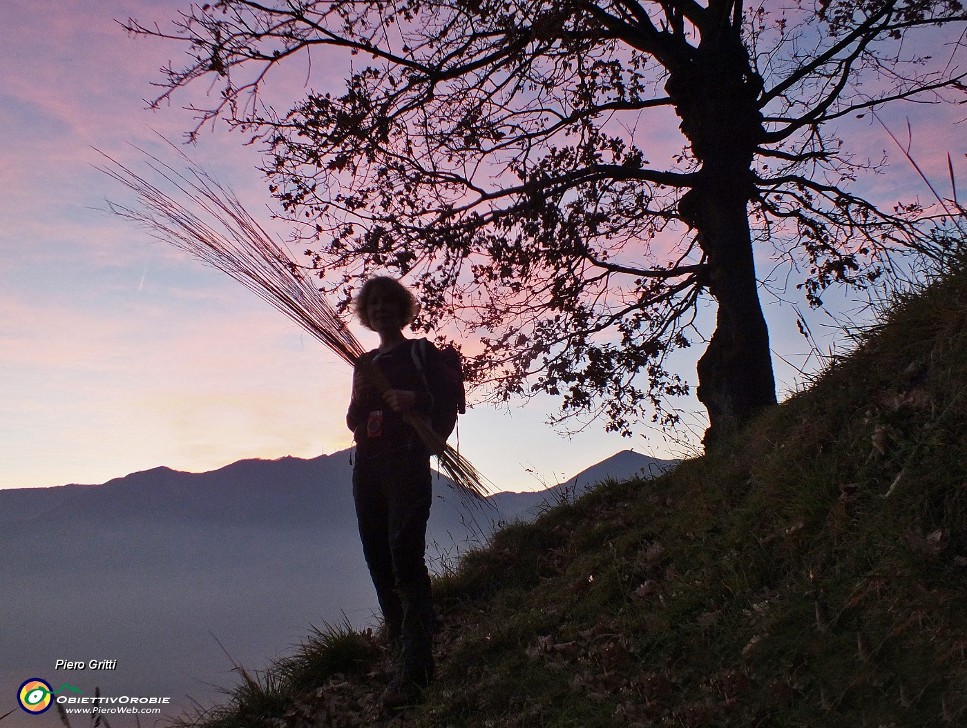 95 Bellissima quercia al tramonto.JPG